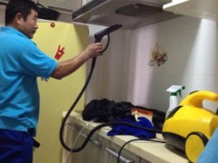 家電清洗設備、技術與家政服務市場全解析